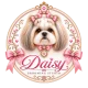 daisy-grooming-studio-logo-web