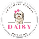 logo_daisy_grooming_studio